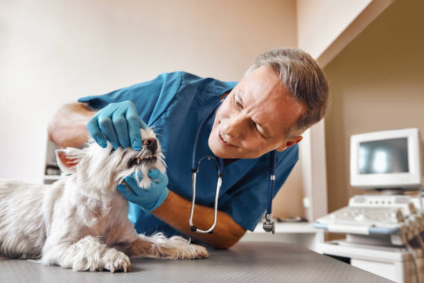 Best Broken Tooth Emergency  in Broadview, IL